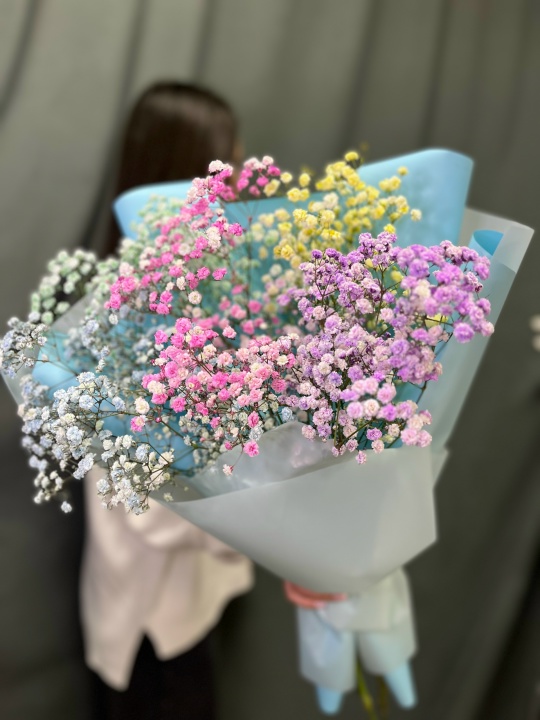 Букет № 73: 5 разноцветных гипсофил и атласной лентой
                     в дизайнерской упаковке. Доставка цветов в Коломне.
                    Доставка цветов в Коломне