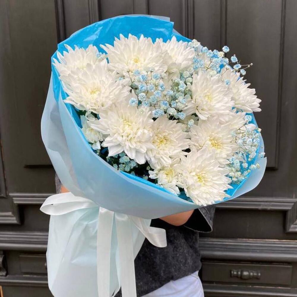 Букет номер 14 «Дуэт хризантема и гипсофила»: 3 хризантемы «Балтика», разноцветная гипсофила, атласная лента, тишью, дизайнерская плёнка и открытка. Цветы в Домодедово с доставкой, цена 2 500 ₽