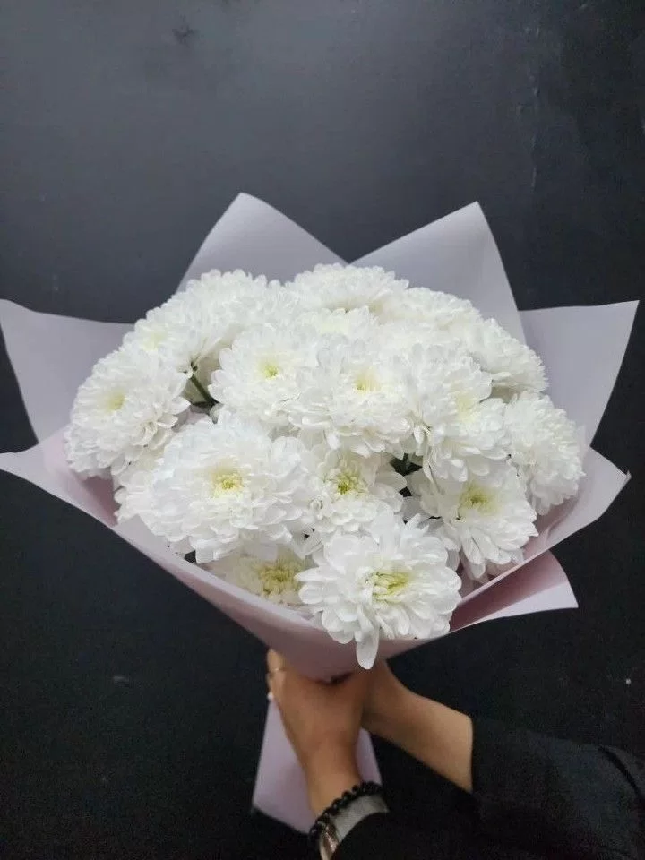 Букет № 26: композиция из 5 белых хризантем с севера в дизайнерской матовой упаковке
                 (5 шт. белой матовой плёнки) с атласной лентой. Цена 3 000 рублей, доставка в Домодедово