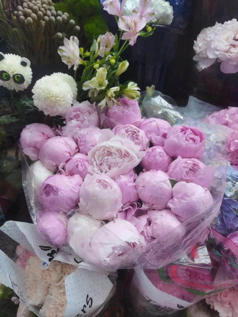 купить пионы в Балашихе